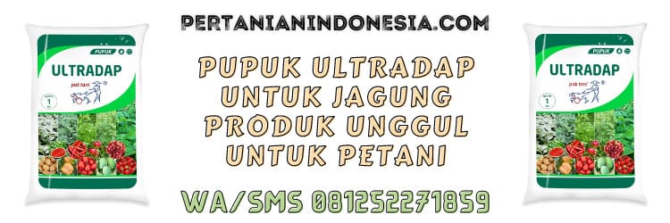 pupuk,ultradap,pupuk ultradap,pupuk ultradap untuk jagung,ultradap pak tani
